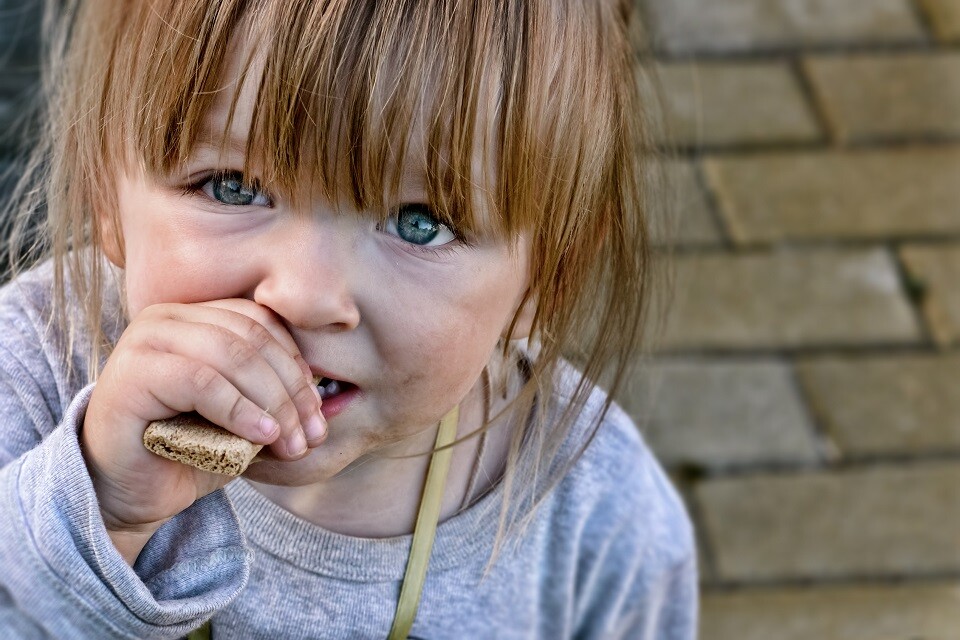 Hungry child with big clear eyes eating bread and impressively looking at the camera. Close-Up. © Slava Samusevich Hungry,Child,With,Big,Clear,Eyes,Eating,Bread,And,Impressively